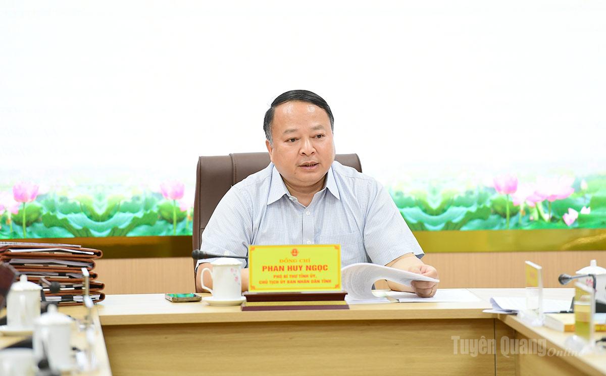 Đồng chí Phó Bí thư Tỉnh ủy, Chủ tịch UBND tỉnh Phan Huy Ngọc kết luận cuộc họp.